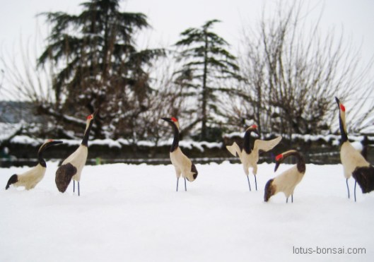 red-crane-birds-figurine-bonsai-2