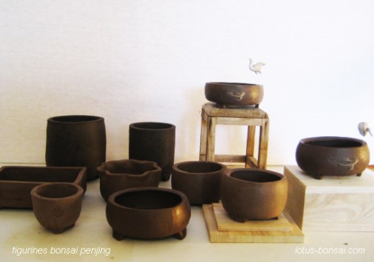 atelier-penjing-bonsai