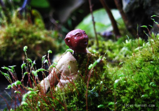 bonsai penjing figurines