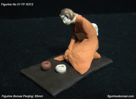 lotus bonsai creations