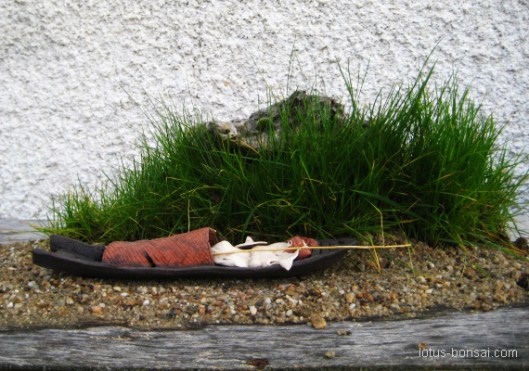 figurine bonsai studio