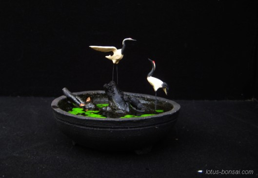 bonsai pot & figurine