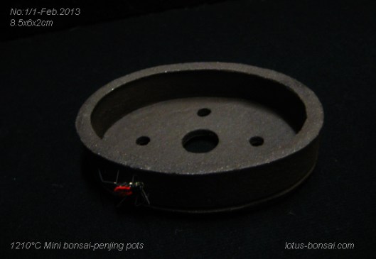bonsai mini pot