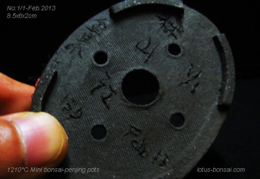 bonsai oenjing mini pot