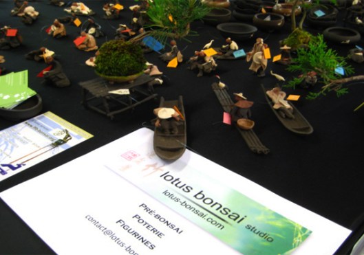 lotus bonsai expo 2013