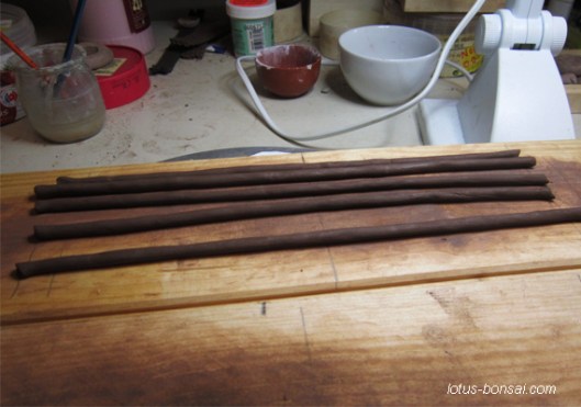 bonsai fisherman with cormorants