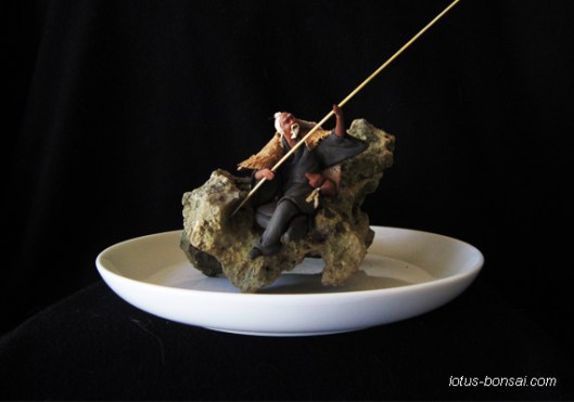 lotus bonsai studio