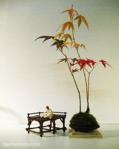 bonsai penjing