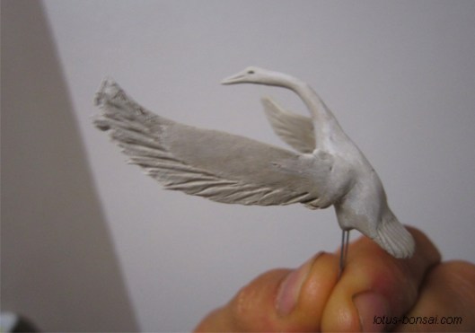 grus japonicus tempai