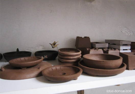 bonsai pottery