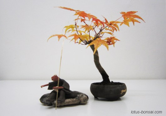 bonsai & mudman