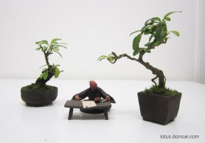 bonsai-mudman-3
