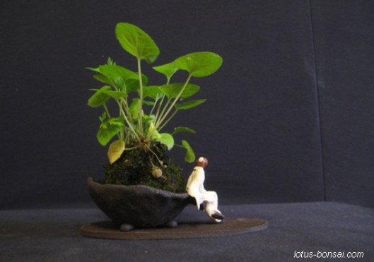 kokedama & mudman