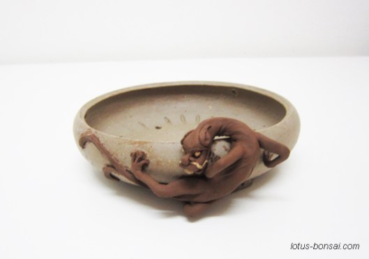 dragon-dog bonsai pot