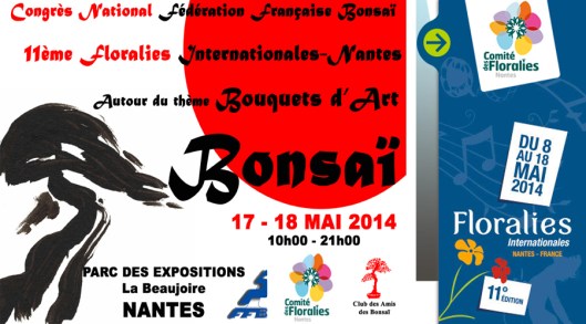Spring Bonsai exhibition in France