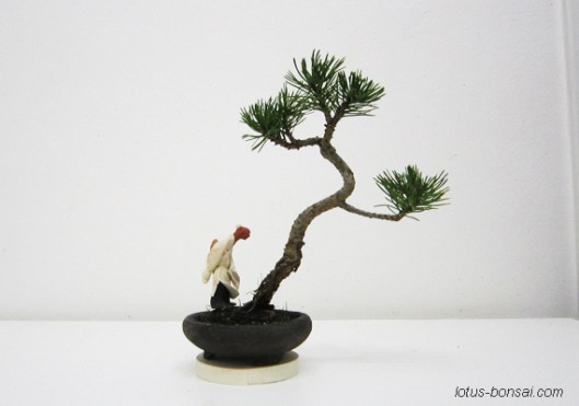 bonsai mudman