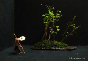 figurine-bonsai-giang-15