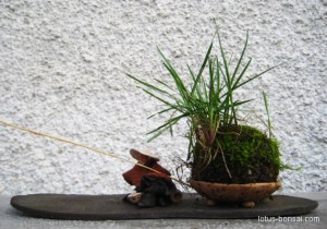 fisherman-bonsai-2