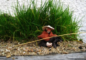 fisherman-bonsai