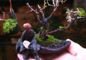 mini-bonsai-mudman