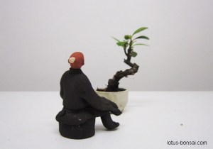 bonsai-figurine-lotus-studio-2