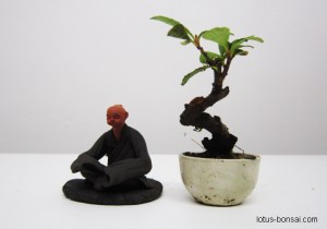 bonsai-figurine-mame-1