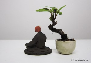 bonsai-figurine-mame-2