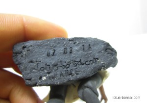 bonsai-figurine-master-3