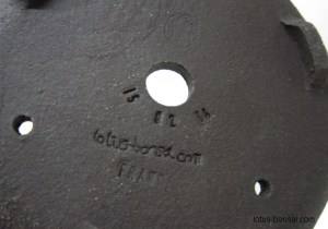 bonsai-pot-turtle-tortue-3