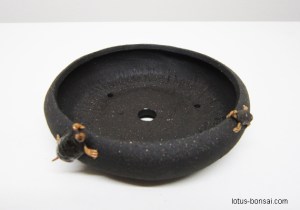 bonsai-pot-turtle-tortue-4