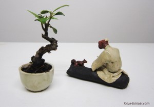 figurine-penjing-lotus-studio-5