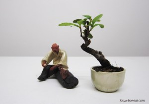 figurine-penjing-lotus-studio-6
