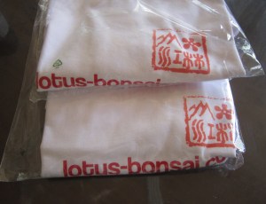 t-shirt-lotus-bonsai