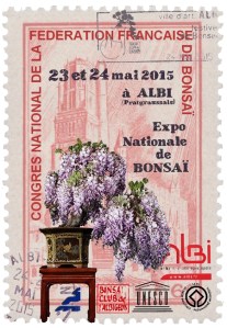 expo-bonsai-albi-2014