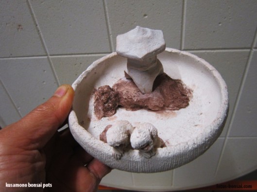 pot-kusamono-deco-animal-singe-macaque-du-japon-snow-monkey