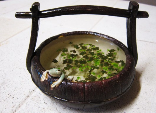 bonsai-pot-grenouille-plant-aquatique