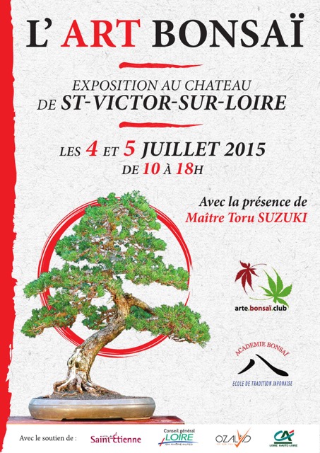 expo bonsai st etienne