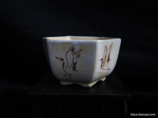 bonsai-pot-No-83