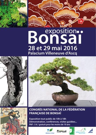 expo bonsai 2016 lotus studio