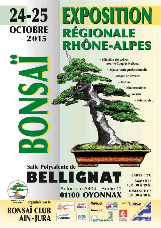 expo bonsai ail bellignat 2015
