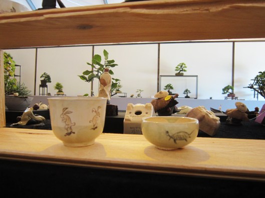 lotus-bonsai-pots-4