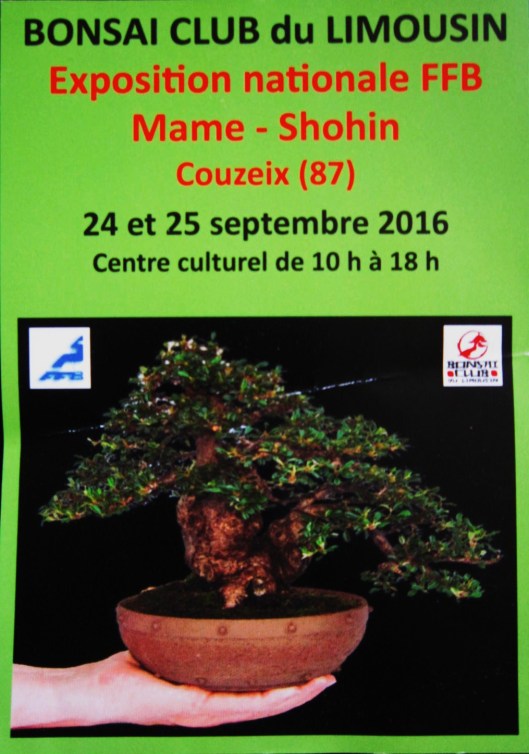 expo bonsai mame limoges 2016
