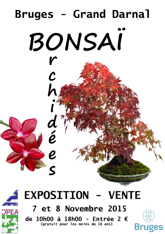 expo bonsai Bordeaux 2015