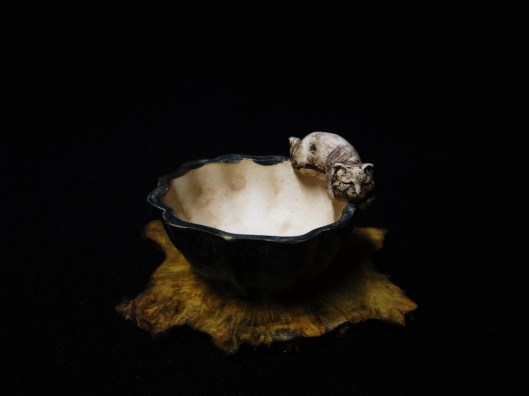 lotus bonsai studio 060