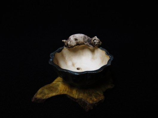 lotus bonsai studio 061