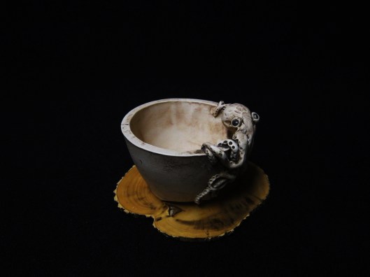 lotus bonsai studio 065