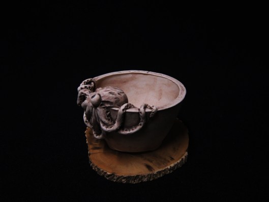 lotus bonsai studio 067