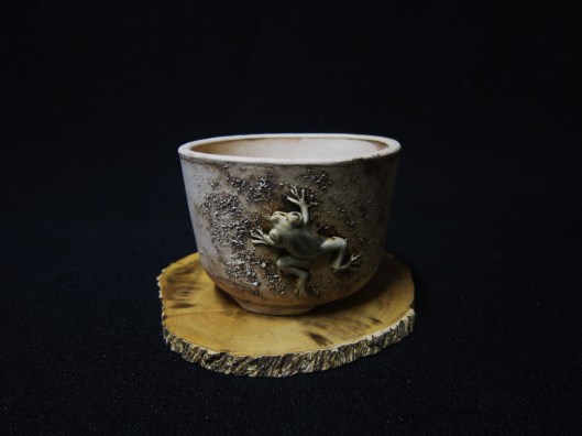 lotus bonsai studio 068