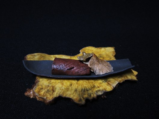 lotus bonsai studio 079