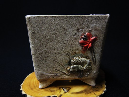 lotus bonsai studio 095